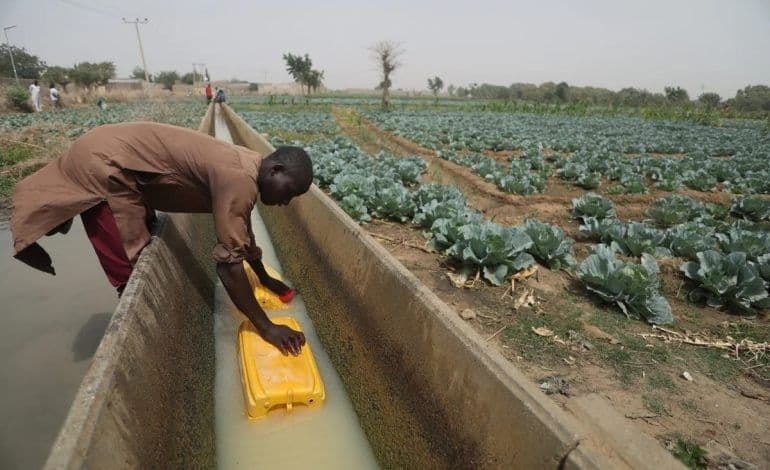Programme Communautaire d’Agriculture Durable